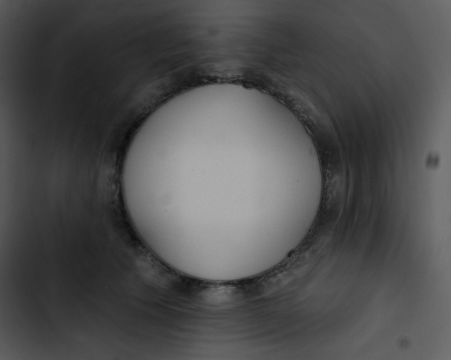 X0000102810609200809081110