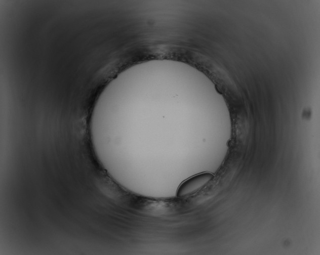 X0000102810611200809081110