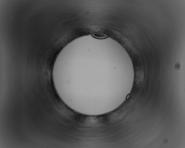 X0000102810613200809081110