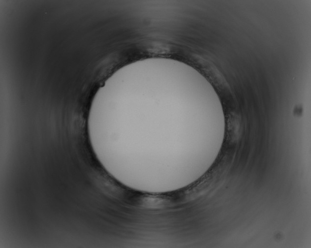 X0000102810614200809081110