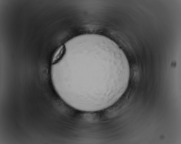 X0000102810615200809081110