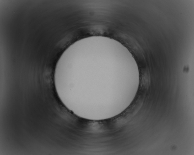 X0000102810616200809081110