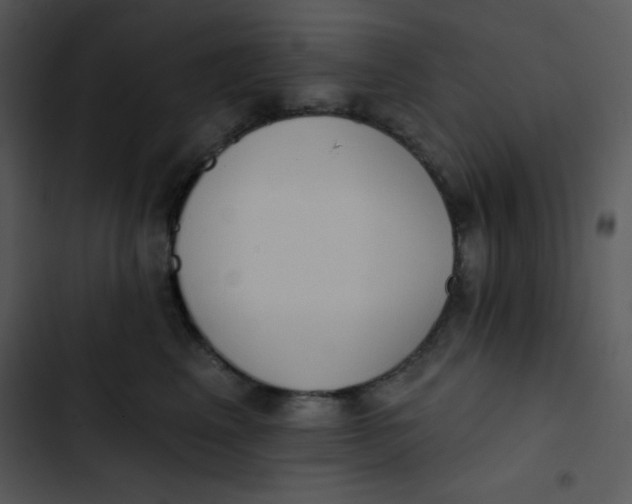 X0000102810617200809081110