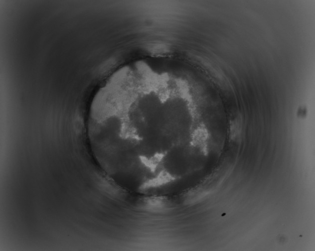 X0000102810618200809081110