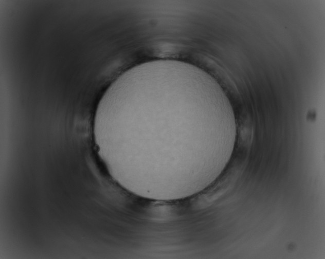 X0000102810620200809081110