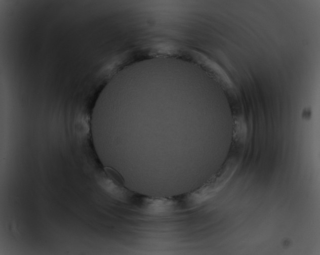 X0000102810621200809081110