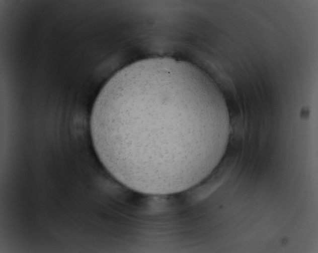 X0000102810623200809081110