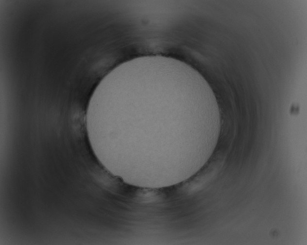 X0000102810624200809081110