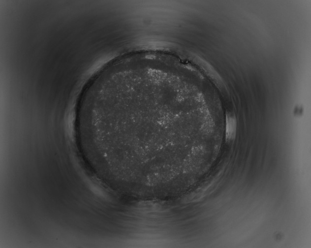 X0000102810627200809081109