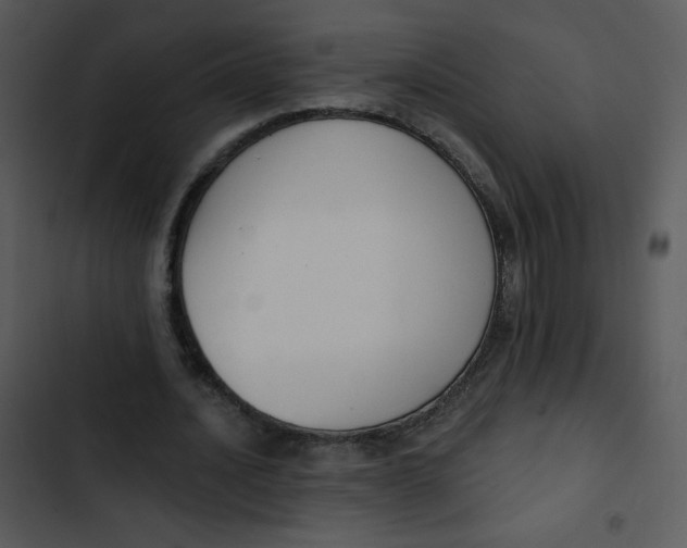 X0000102810628200809081109