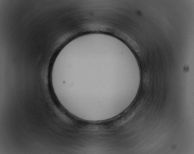 X0000102810629200809081109