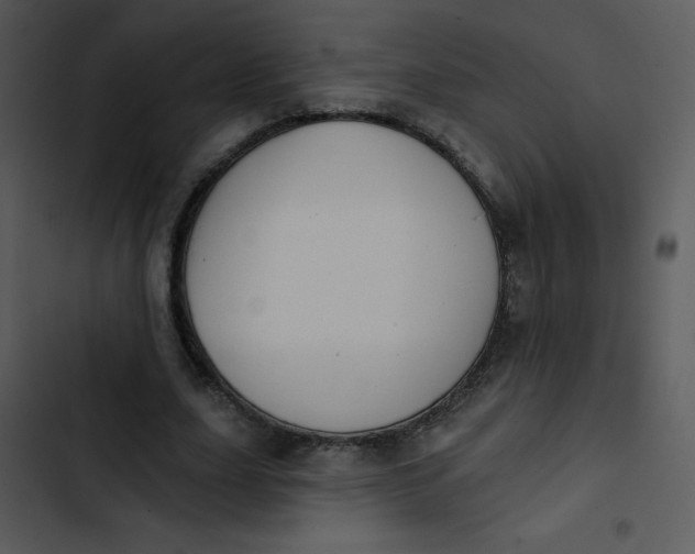 X0000102810631200809081109