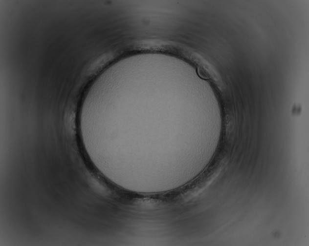 X0000102810633200809081109