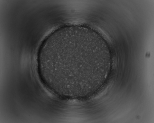 X0000102810634200809081109