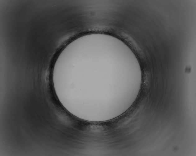 X0000102810636200809081109