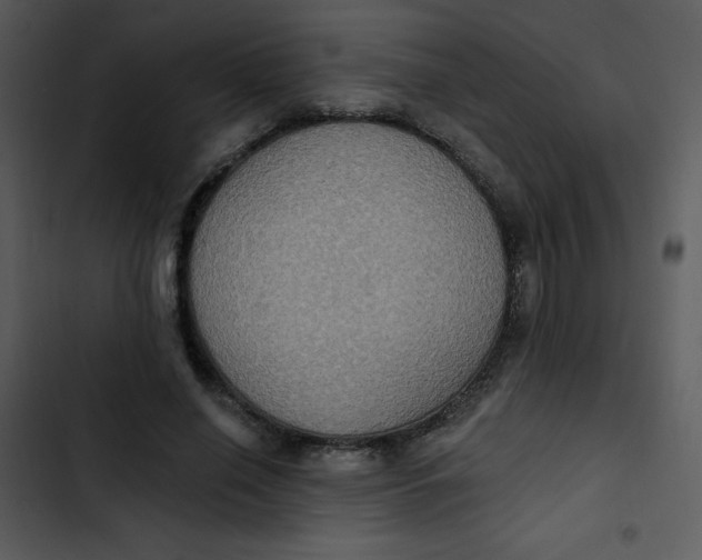 X0000102810638200809081109