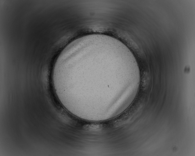 X0000102810639200809081109