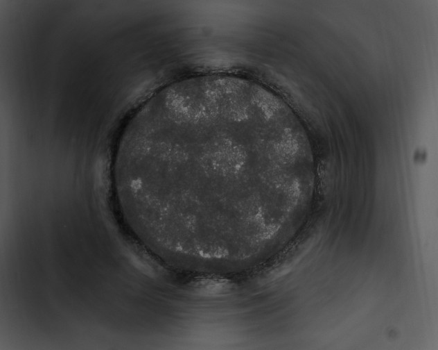 X0000102810642200809081109