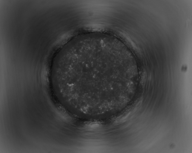 X0000102810643200809081109