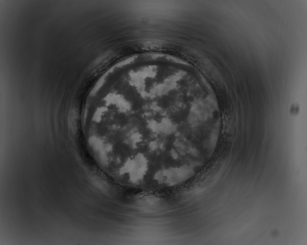 X0000102810648200809081109