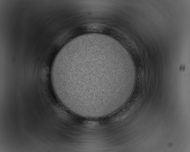 X0000102810649200809081109