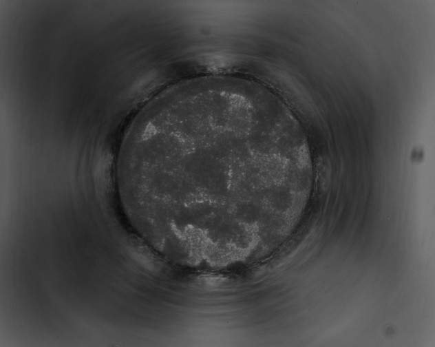 X0000102810650200809081109