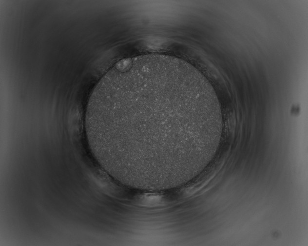 X0000102810651200809081109