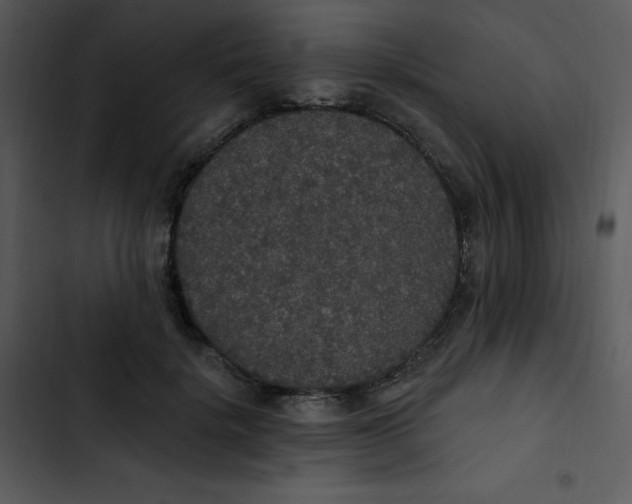 X0000102810652200809081109