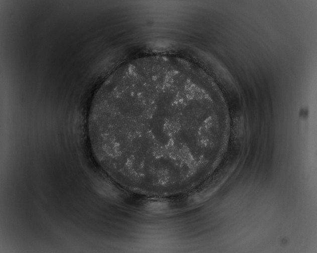 X0000102810653200809081109