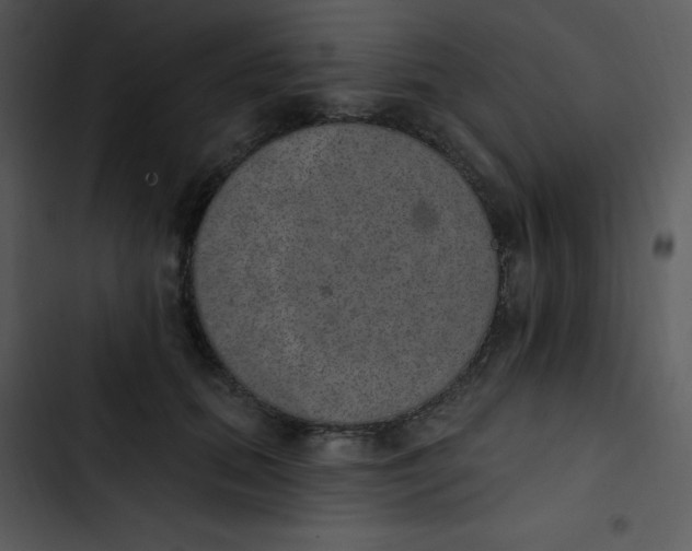 X0000102810655200809081109