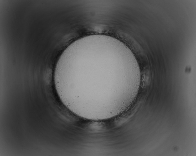 X0000102810656200809081109