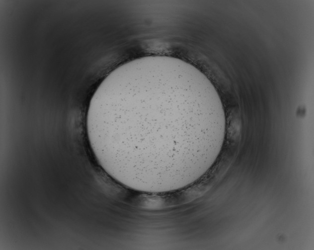 X0000102810658200809081109