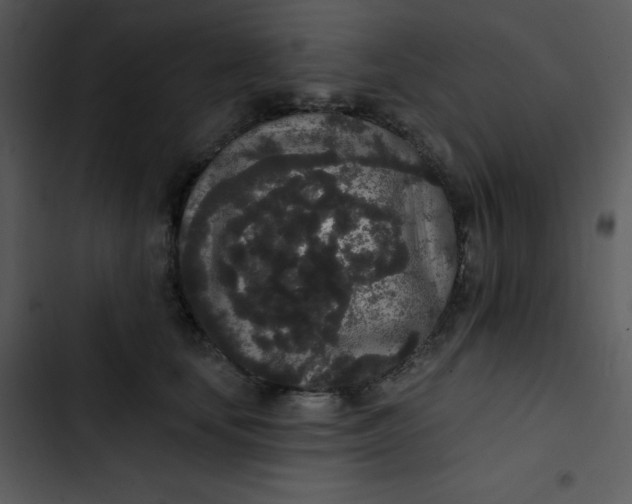 X0000102810659200809081109