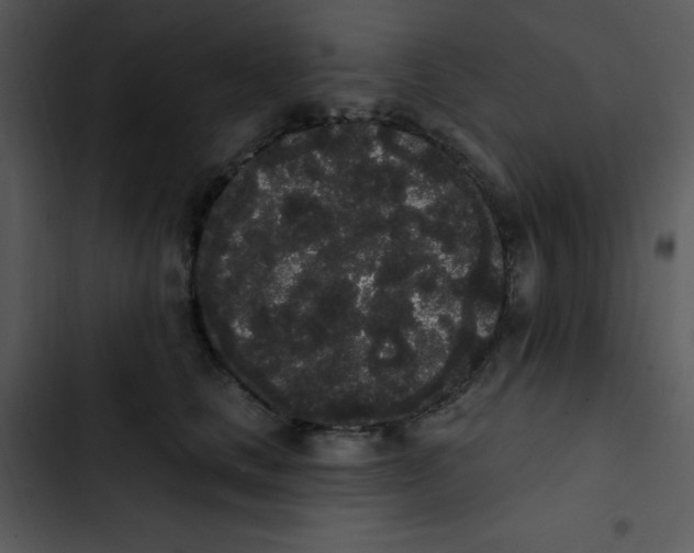 X0000102810661200809081109