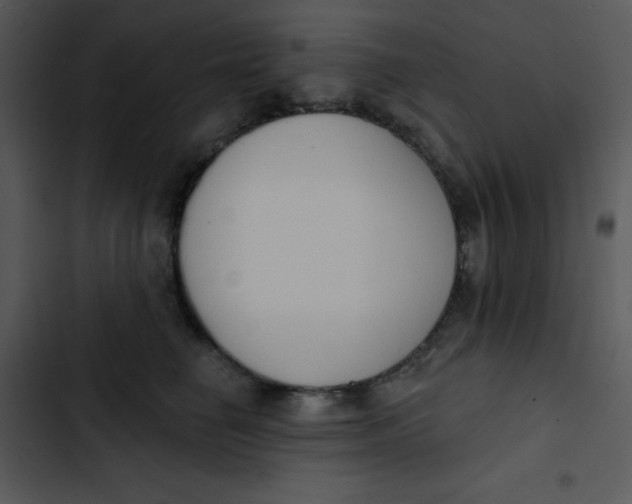 X0000102810662200809081110