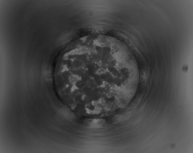 X0000102810663200809081110