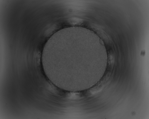 X0000102810664200809081110