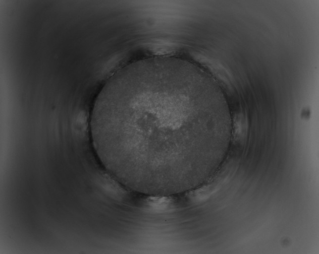 X0000102810667200809081110