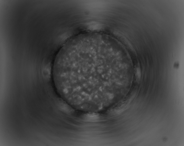 X0000102810668200809081110