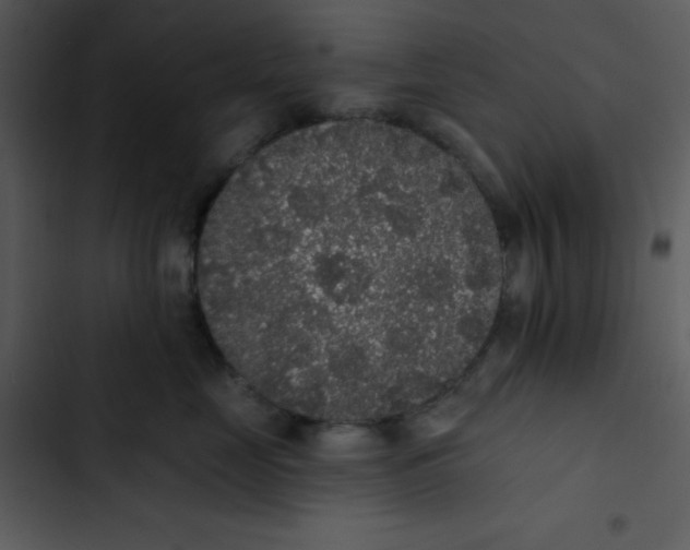 X0000102810669200809081110