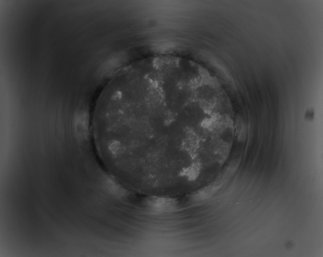 X0000102810670200809081110