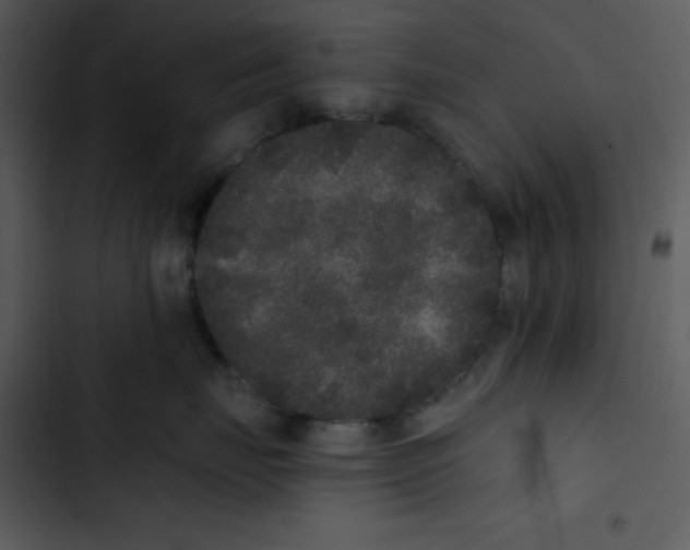 X0000102810671200809081110