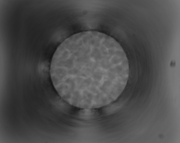 X0000102810672200809081110