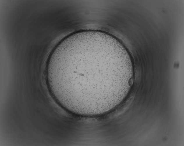 X0000102810673200809081109