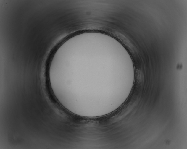 X0000102810676200809081109