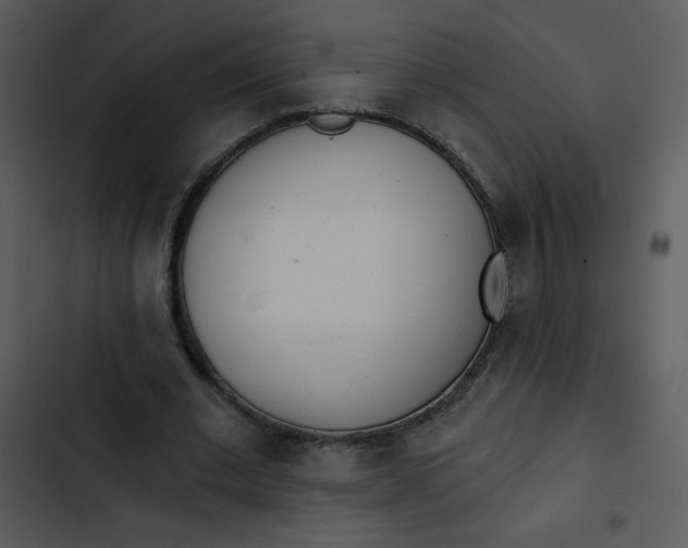 X0000102810677200809081109