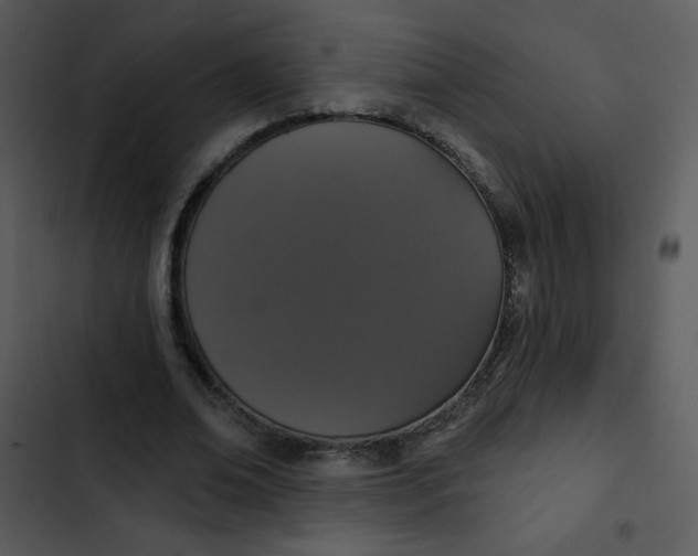 X0000102810678200809081109