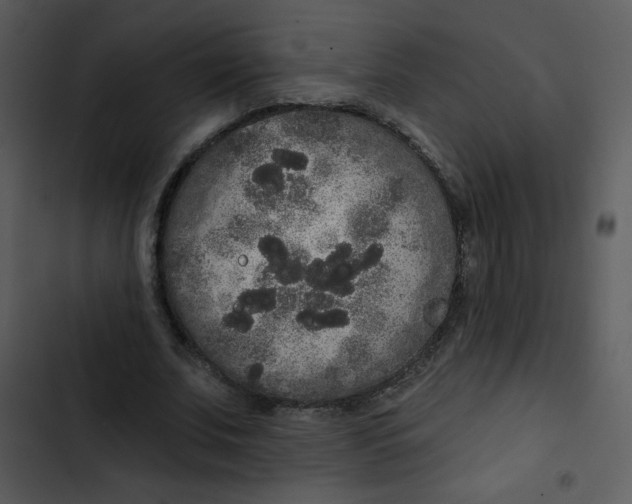 X0000102810679200809081109