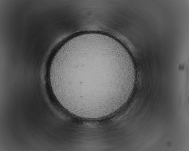 X0000102810680200809081109