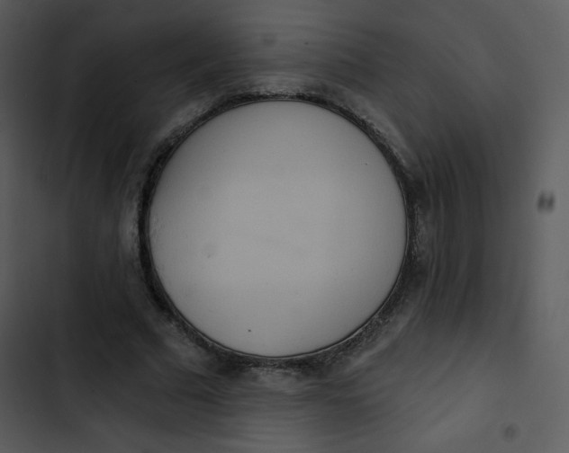 X0000102810681200809081109